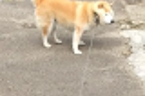 米兰登录入口-热火外援采访称爱上海内外球迷文化，热火队视频