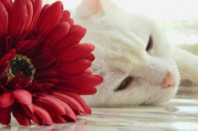 MILANSPORT入口-国际热身赛国足战平 球迷对球队充满期待，国际足球热身赛是什么