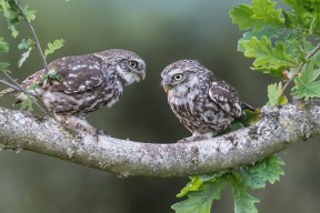 MILANSPORT下载-“高新体育中心：健力赛事见证选手超越自我，力争金牌”