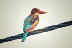 米兰体育-英超青训体系心理压力管理促进技术动作稳定性的探索，英超青训最好的球队