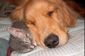 MILANSPORT入口-中国足球国家队体能恢复计划科学化实施，国家足球队体能标准