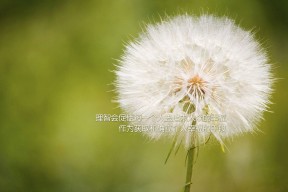 米兰体育官网-体育产业品牌联盟建设，体育产业联合会成立大会