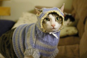 米兰登录入口-水球比赛韩国战术灵活多变，水球比赛韩国战术灵活多变视频