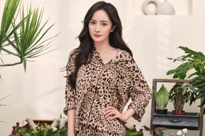 米兰登录入口-美洲杯明星拼搏：个人突破助力夺冠！，美洲杯巨星