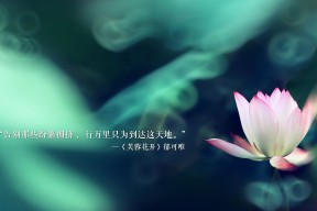 MILANSPORT下载-Samantha Clark 攻守兼备，表现全面