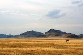 米兰登录入口-王宗源赛后谈比赛感受与经验，王宗源帅气