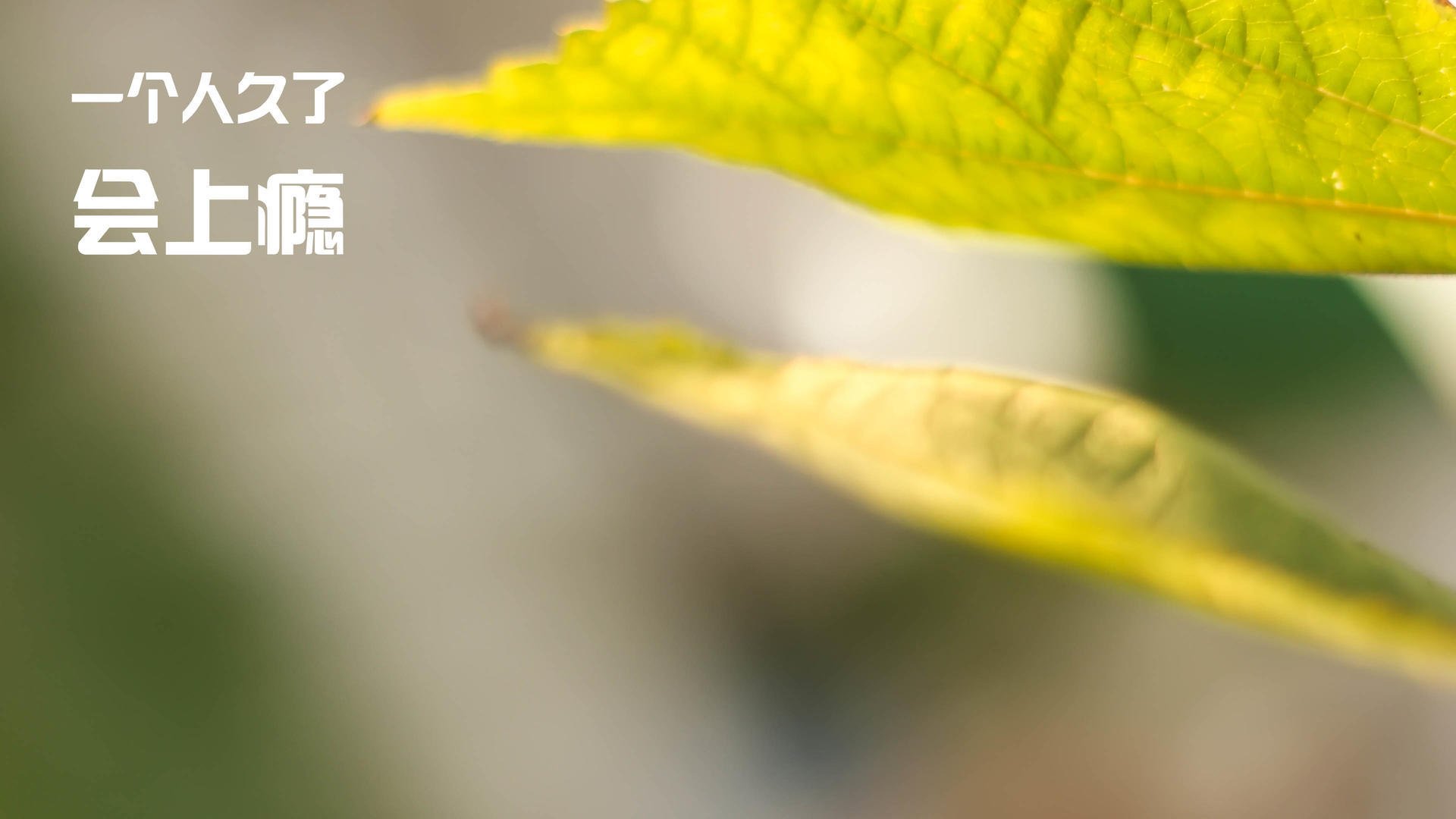 体育产业品牌推广计划,体育产业品牌推广计划书