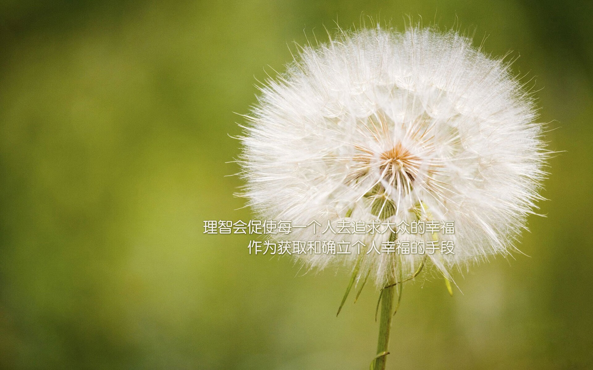 体育产业品牌联盟建设,体育产业联合会成立大会