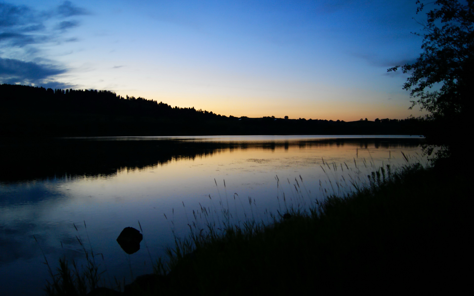“SHO-CHAN Run 2025:香港跑者的速度盛宴”