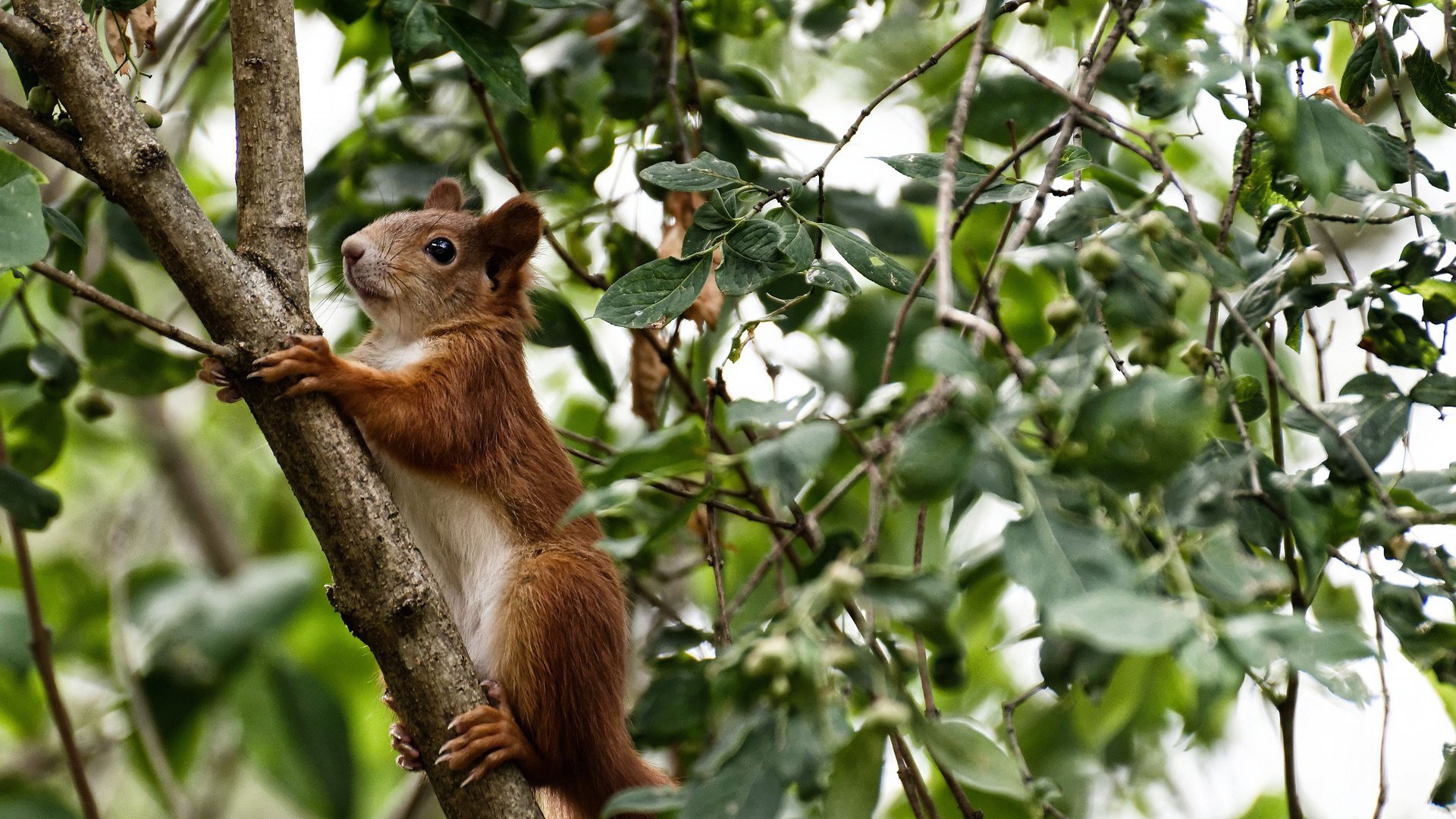 “高新体育中心:健力赛事见证选手超越自我,力争金牌”