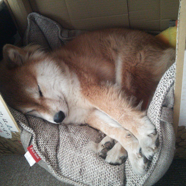 中国女篮注重交流沟通 增强场上执行力,中国女篮练练