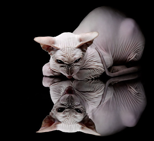 国家队比赛节奏控制能力为何落后,国家队比赛节奏控制能力为何落后呢