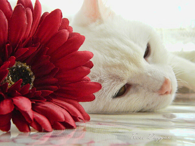 国际热身赛国足战平 球迷对球队充满期待,国际足球热身赛是什么