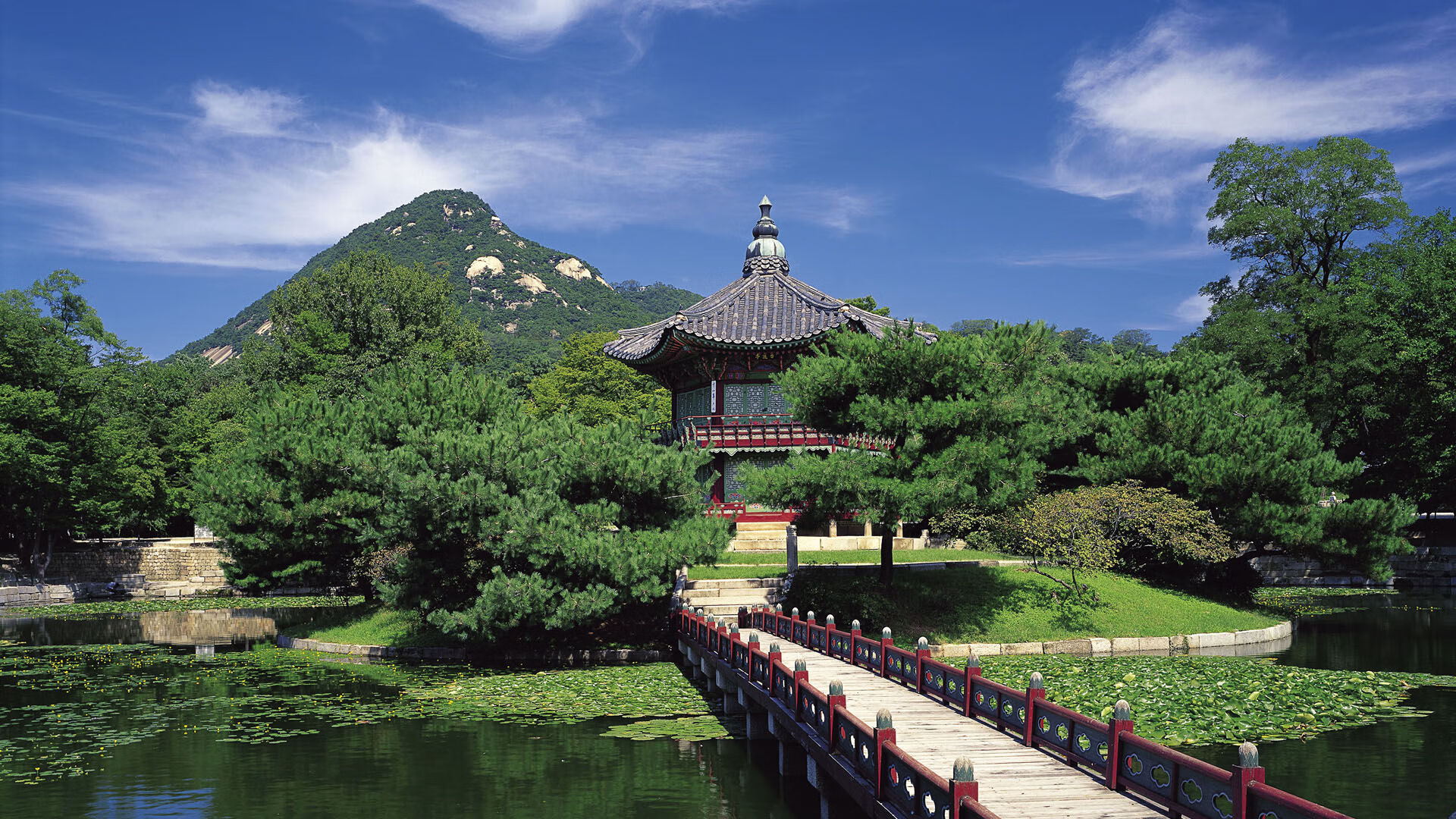 多特蒙德年轻球员持续展现成长潜力,多特蒙德青年队球星