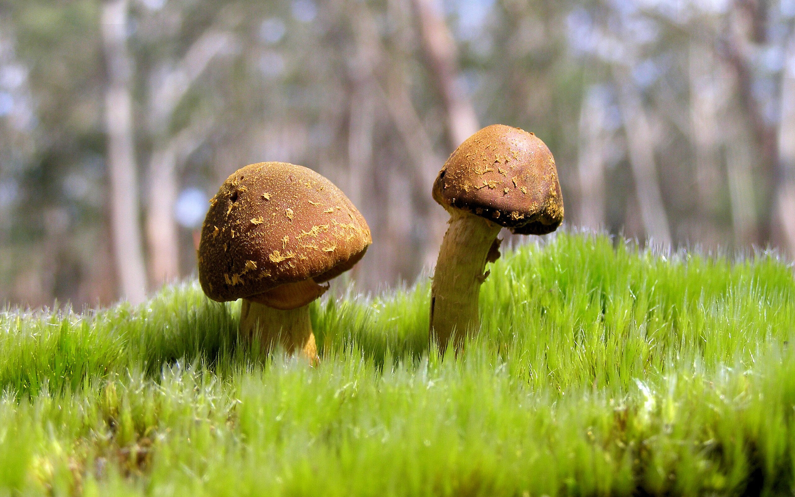 赫塔菲整体推进节奏统一形成攻防一体,赫塔菲队员