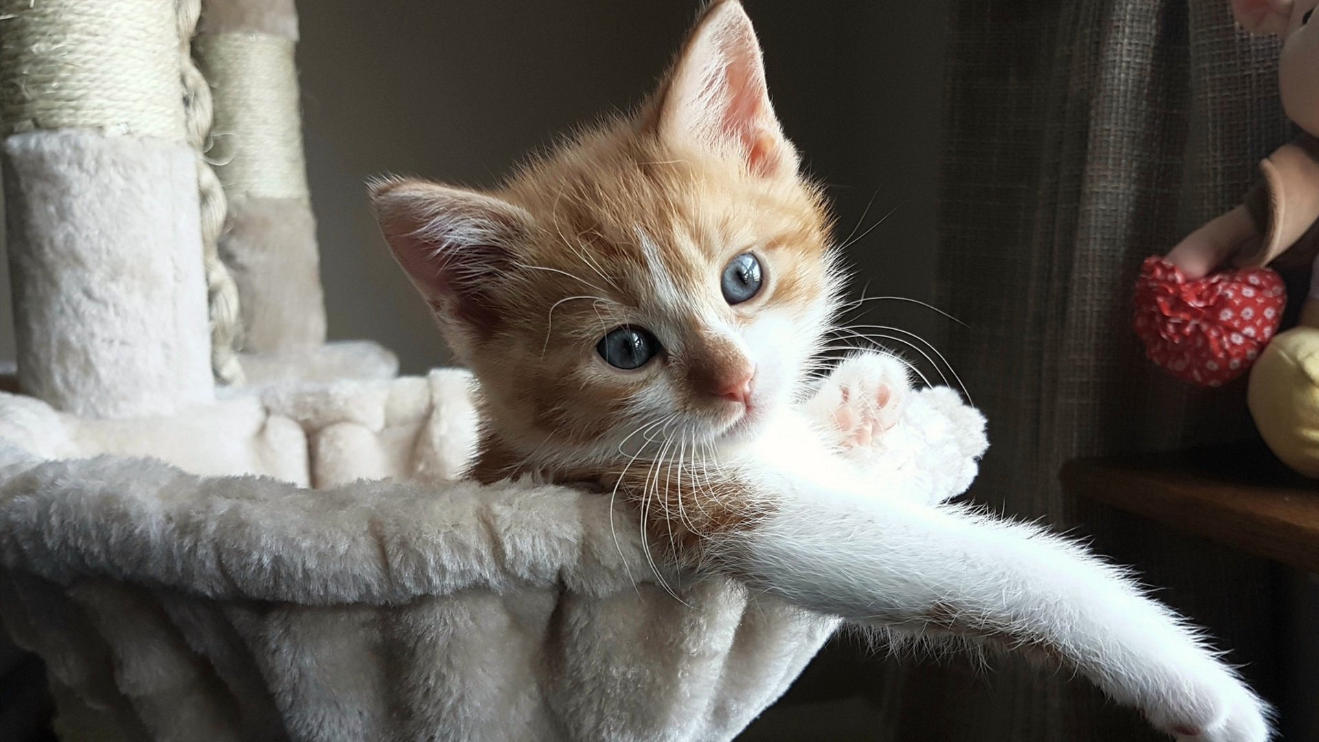 青训体系缺少科学评估机制,青训体系缺少科学评估机制的原因