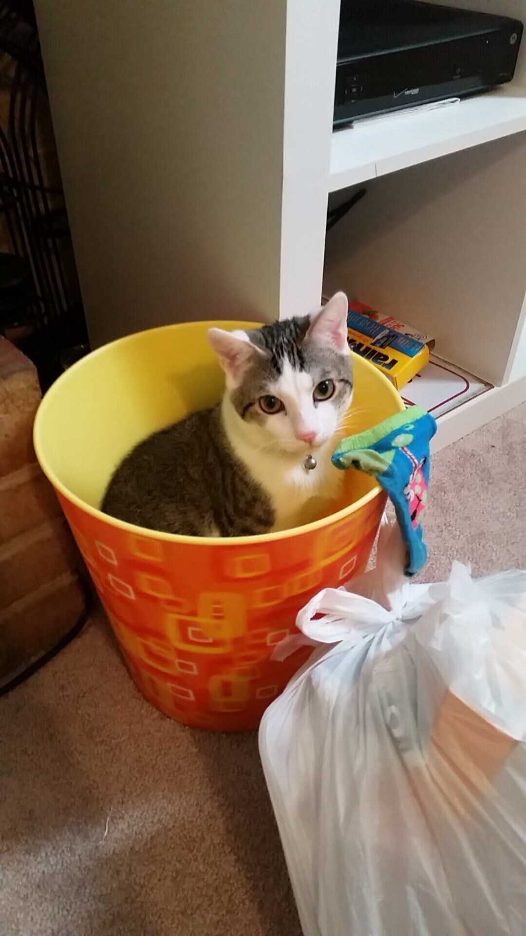 “马科斯·莫奇的防守技术与传球能力,助力美洲狮队提升整体战术水平”