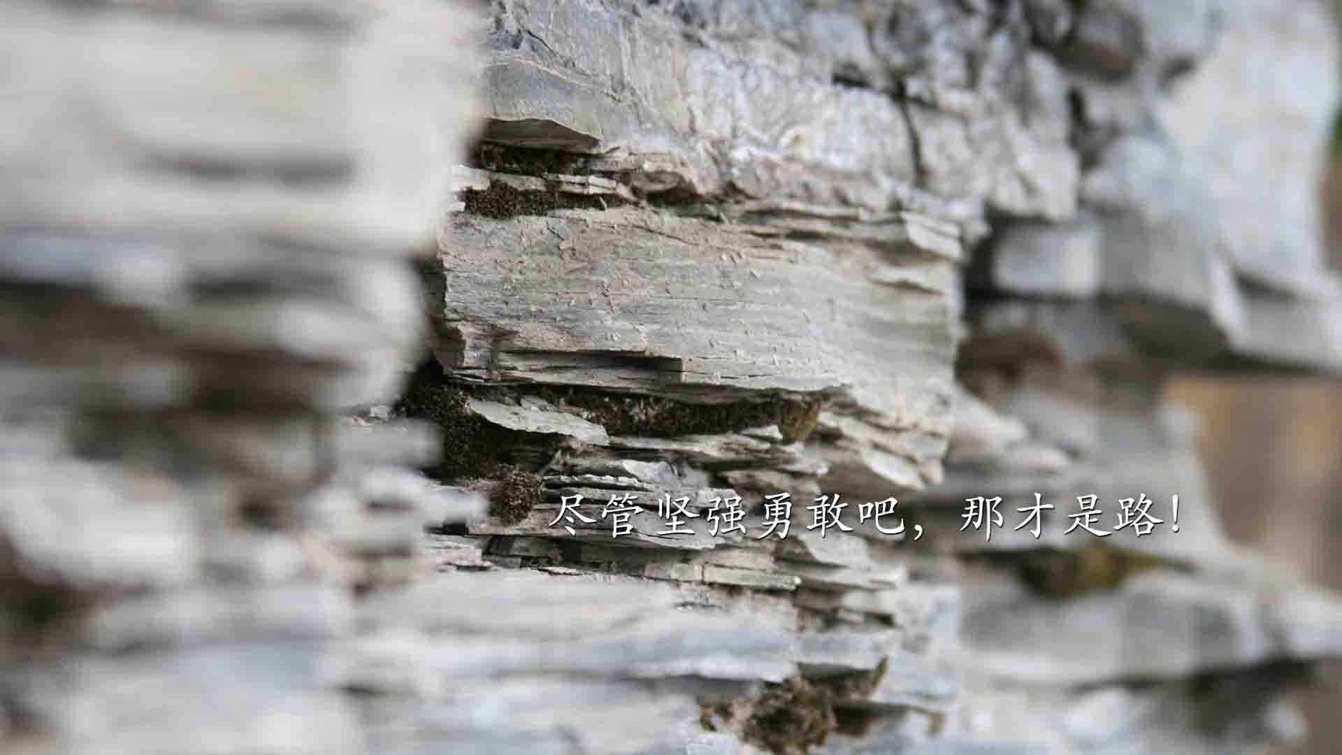 中超联赛本周末重燃战火,中超联赛2021揭幕战