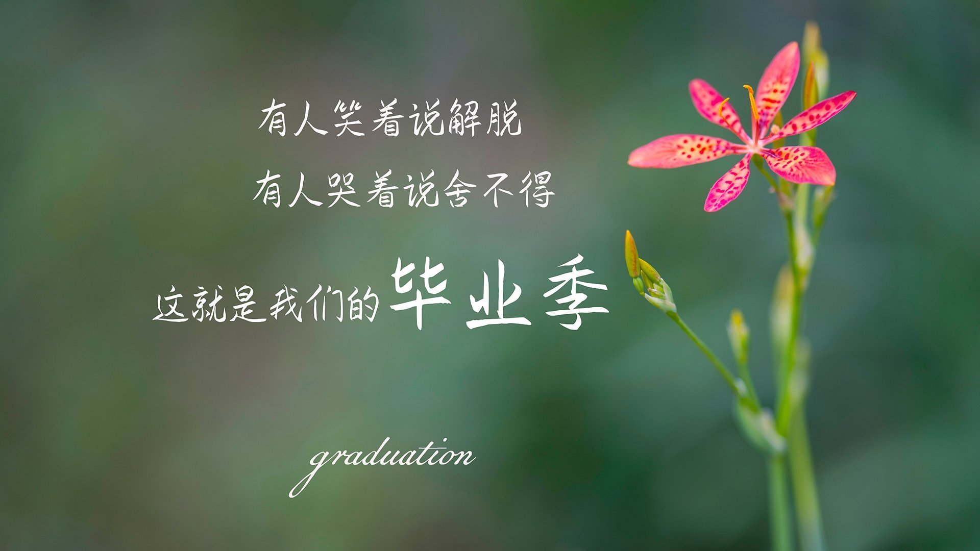 克洛普不断创新战术,带领利物浦追逐更高荣誉