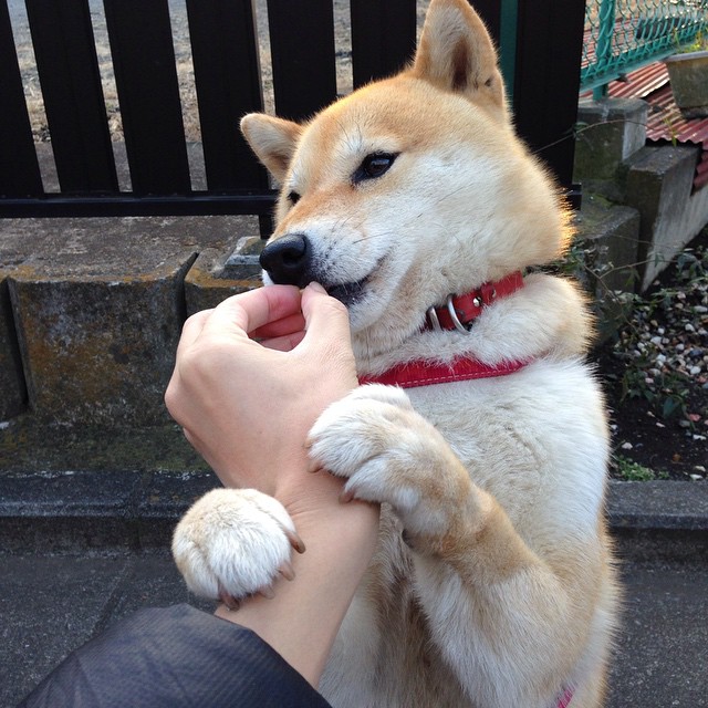 巴西青训体系持续升级,新一代足球天才不断涌现