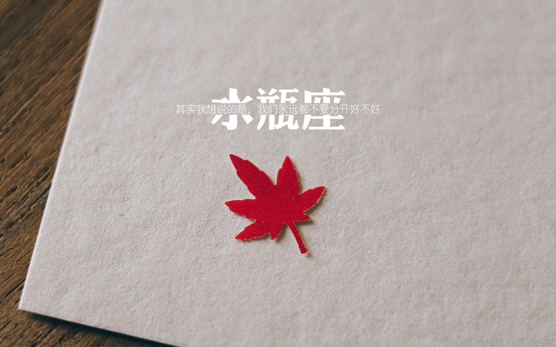 德甲通天闪电:爆破式进攻撼动全场