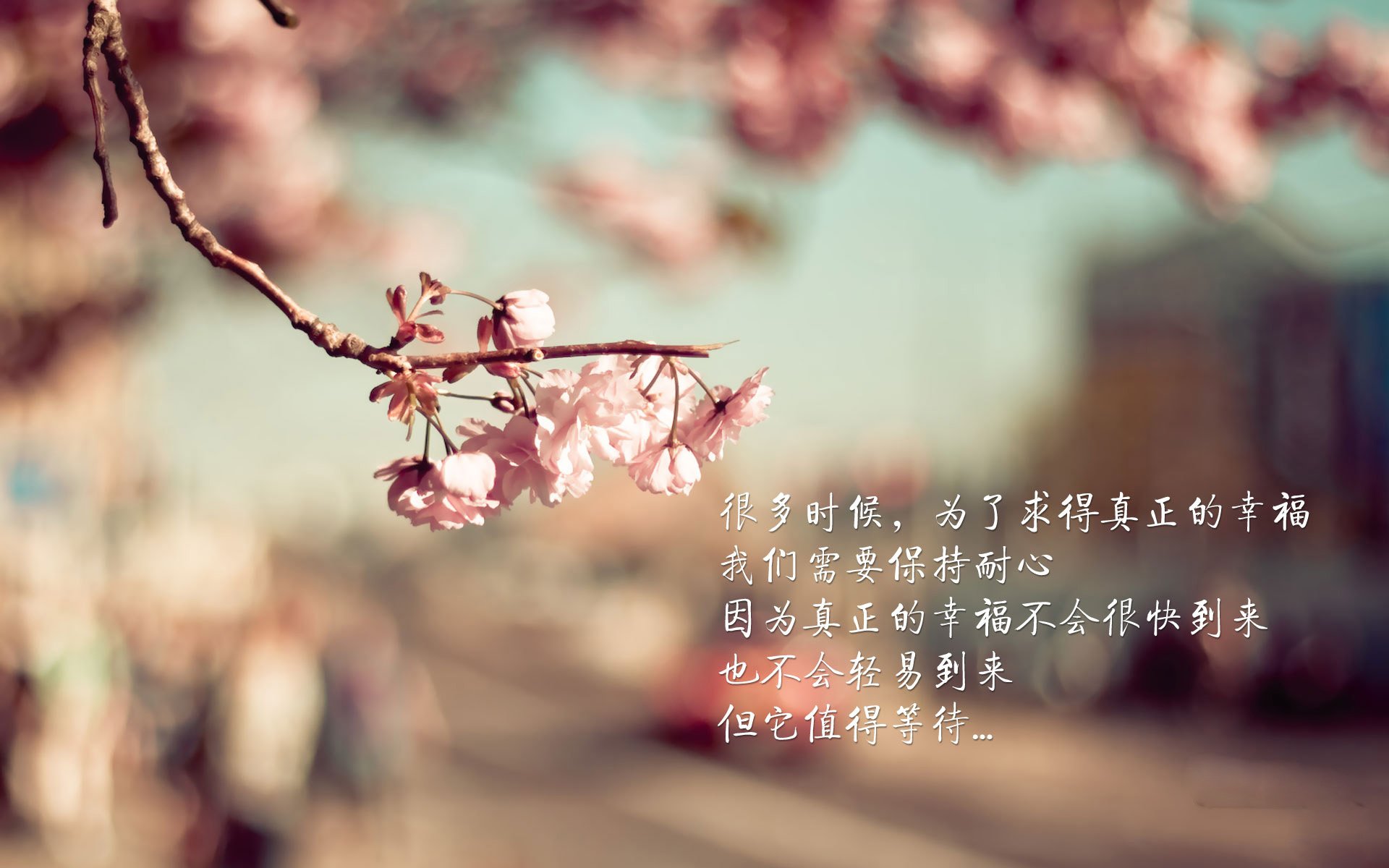 技术团队优化视频分析系统提升赛前战术准备效率,视频团队展示