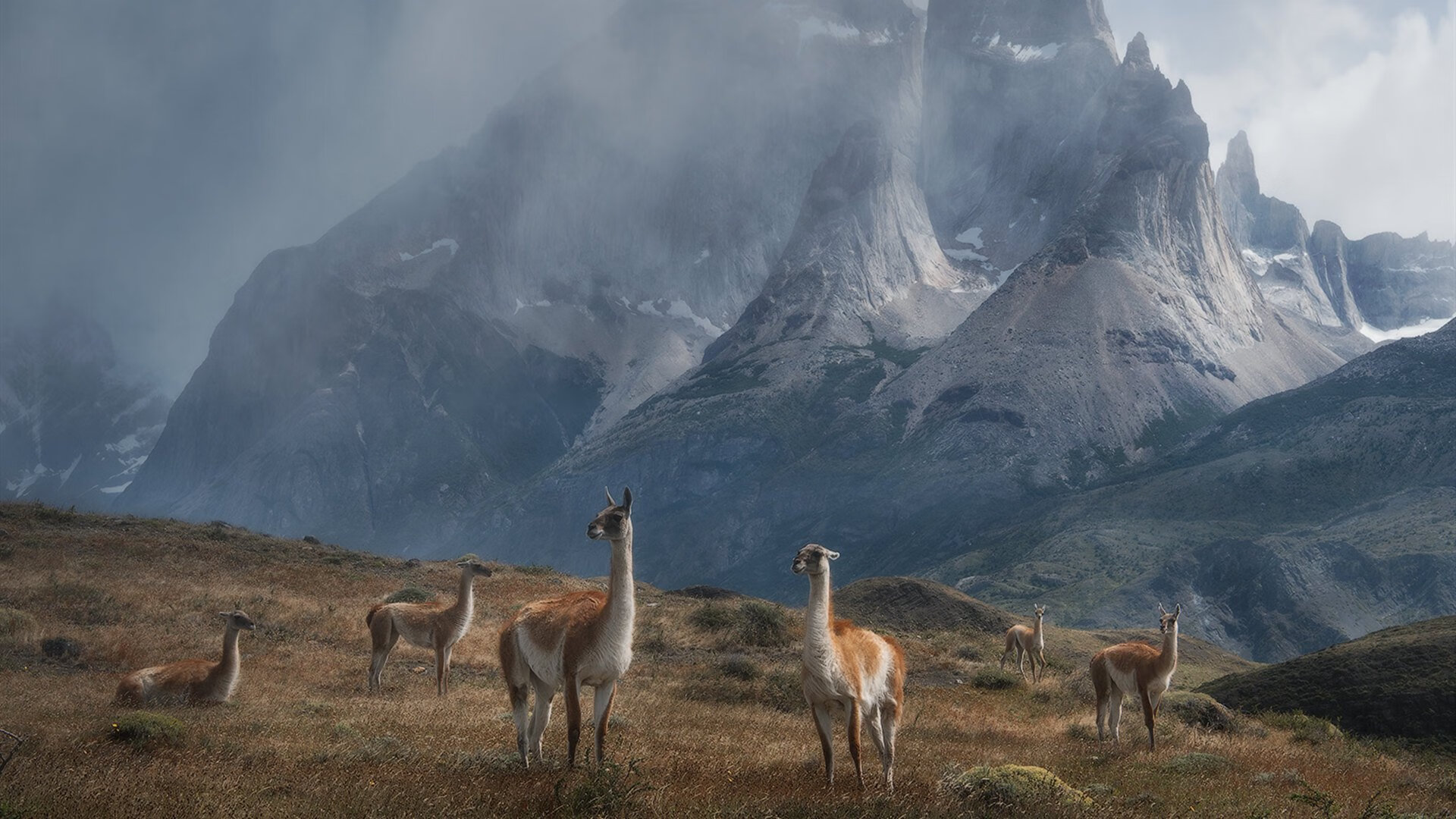 未来足球场馆将实现全景监控,安全保障更进一步,足球场全景照片