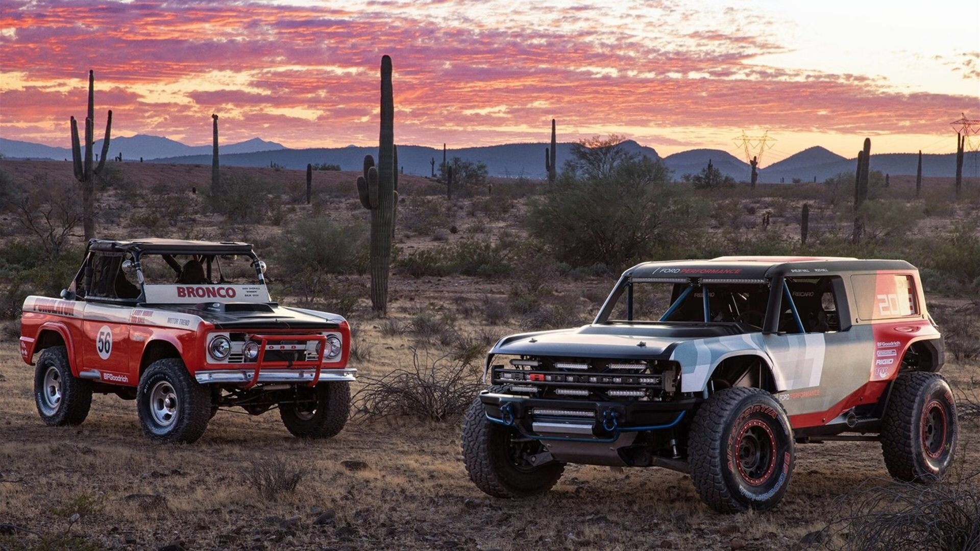 波兰仰泳强将冲击奖牌,波兰游泳队