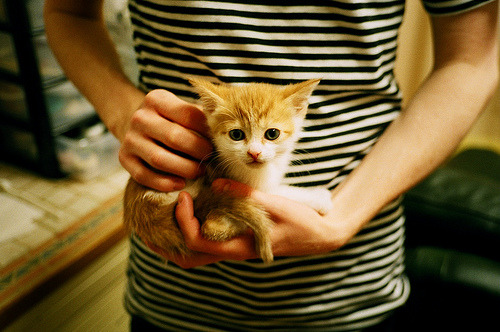 澳大利亚袋鼠队的防线强大,反击能力提升比赛节奏,澳大利亚袋鼠强壮