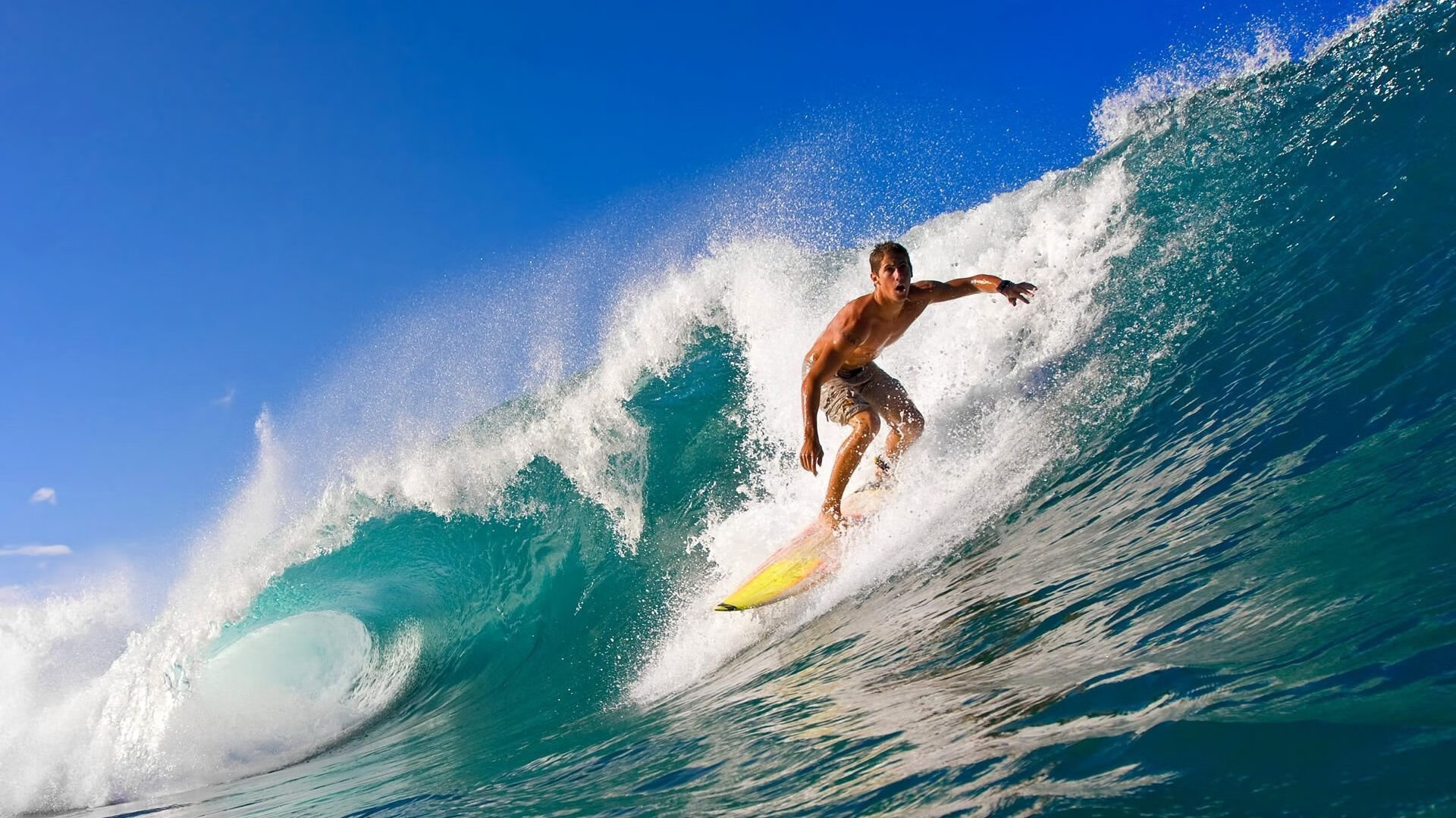 体育产业投资持续增长